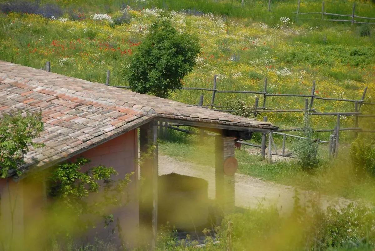 Country House La Cenerara - 14 Pers Groppovisdomo Италия